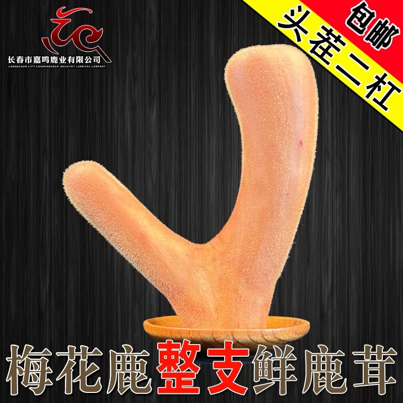 吉林梅花鹿鲜鹿茸整只头茬二杠男泡酒滋补养生煲汤佳品鹿场正品