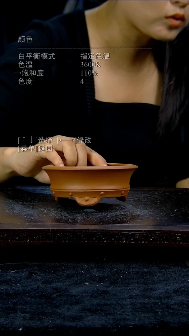 【闪购商品】紫砂20CM以下内口径9/3