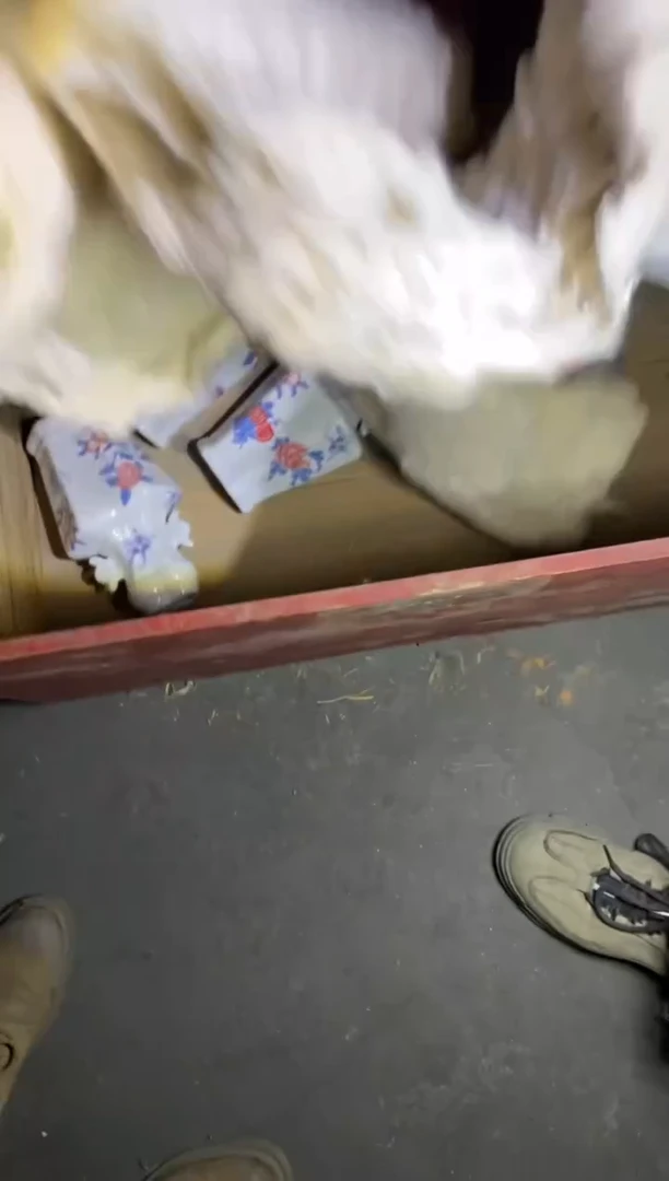 【闪购商品】瓷摆件21