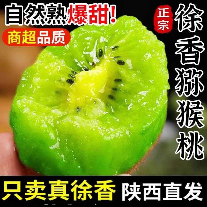 陕西周至徐香猕猴桃 正宗新鲜水果 纯甜绿心奇异果整箱包邮自然熟