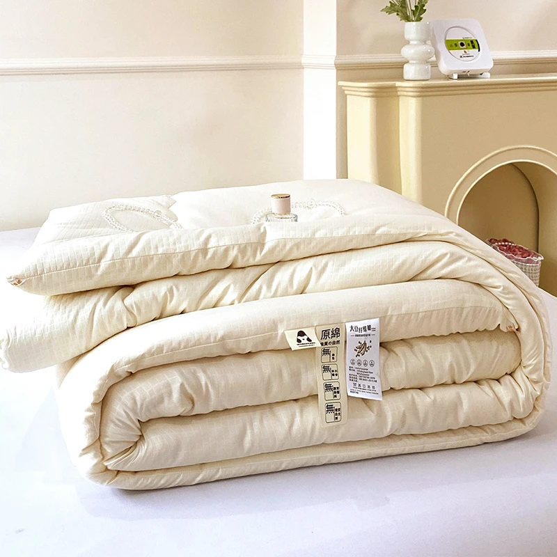 【破冰专属】A类大豆纤维被子冬被芯春秋单人双人宿舍保暖被松驰感