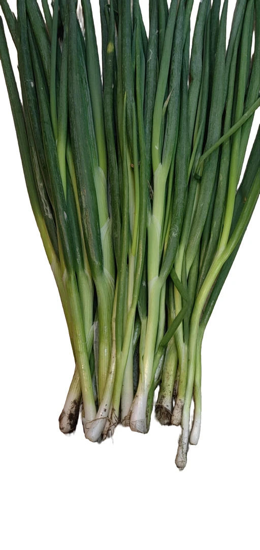 【御芳源优选】小葱约0.8-1斤（蔬菜）