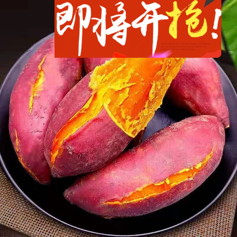 西瓜红薯5斤烤蜜薯番薯新鲜现挖地瓜软糯香甜优质农产品沙地红薯