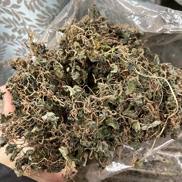 【大海干货店】青天葵胶