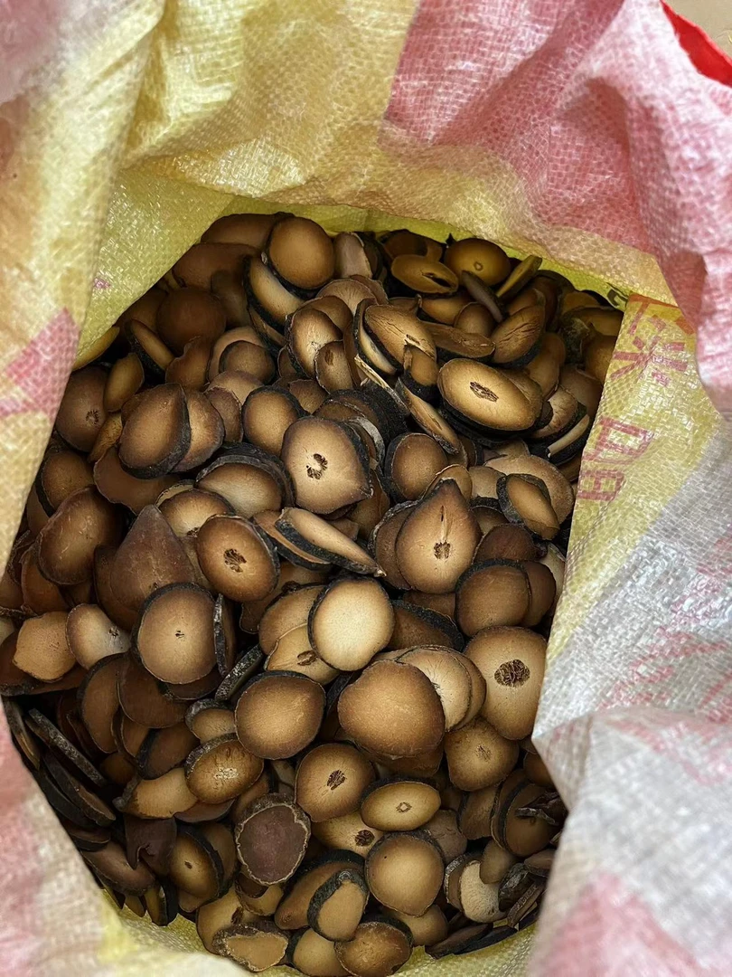 【大海干货店】化州橘红