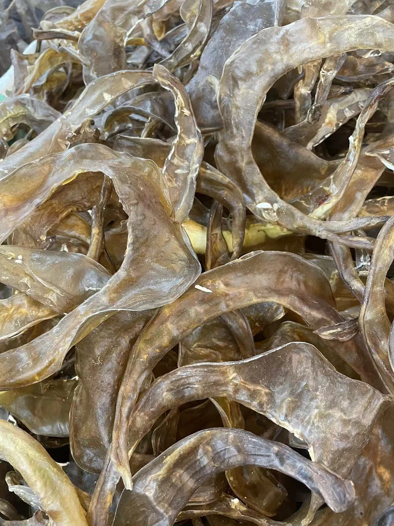 【大海干货店】水 鱼鱼 裙边