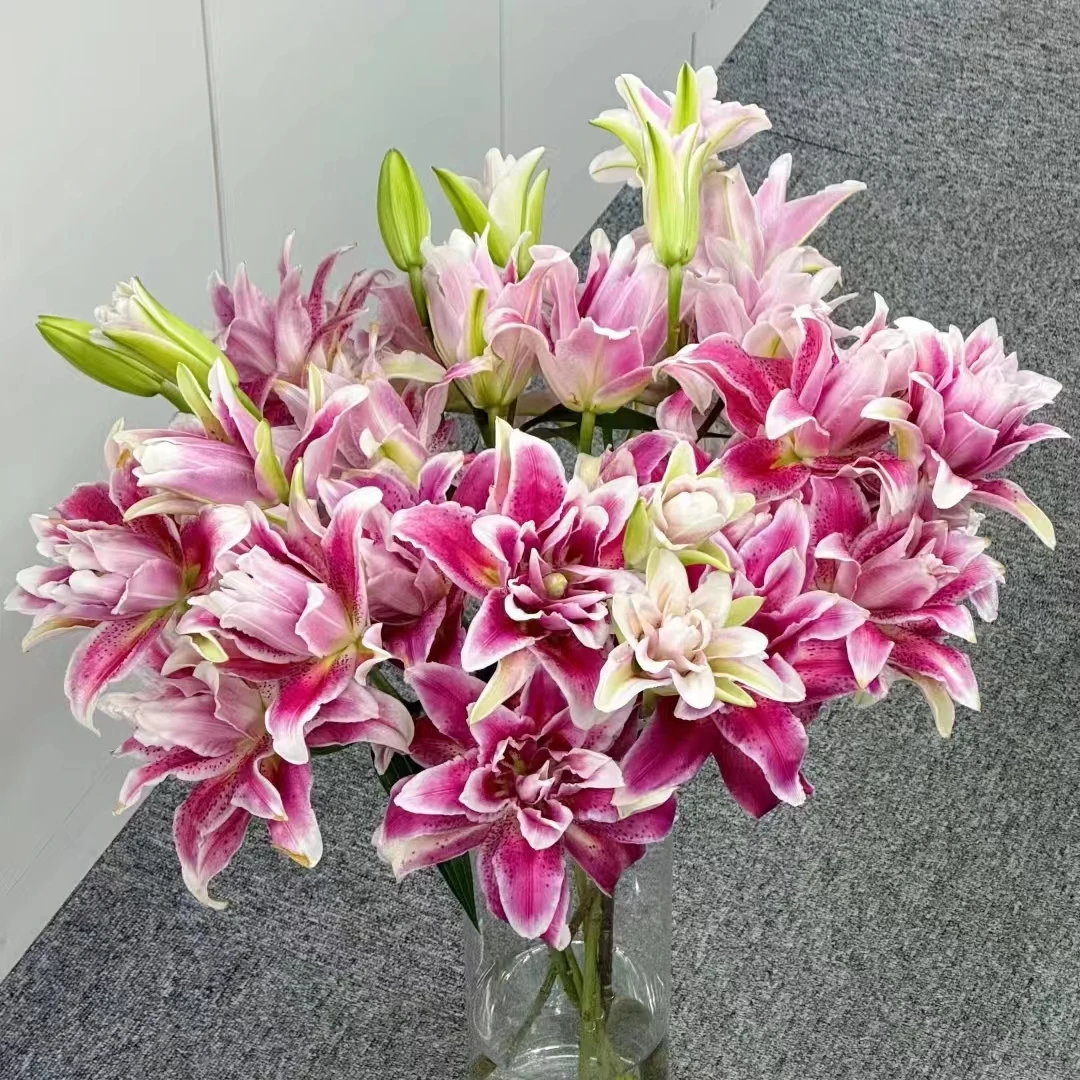 【轶1】迪奥重瓣百合 凑单玫瑰 收到花带包装醒花