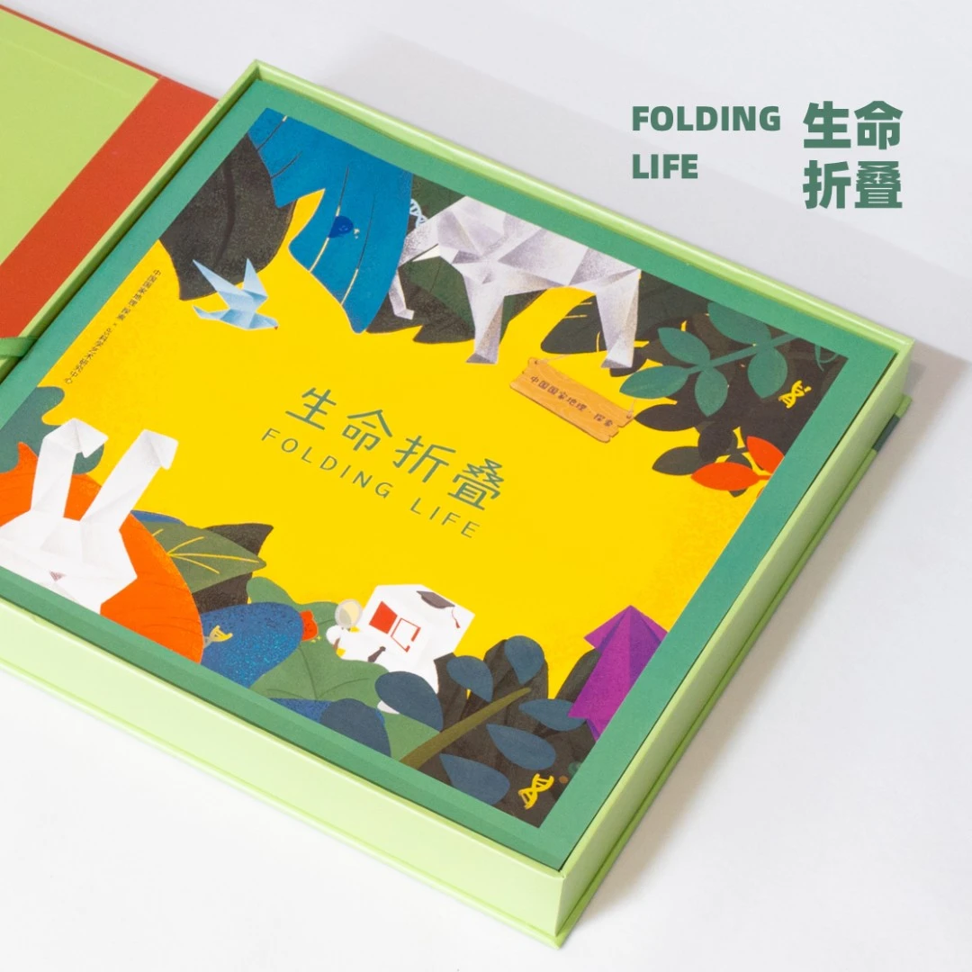 中国国家地理探索 生命折叠折纸玩具 亲子互动益智玩具知识创意