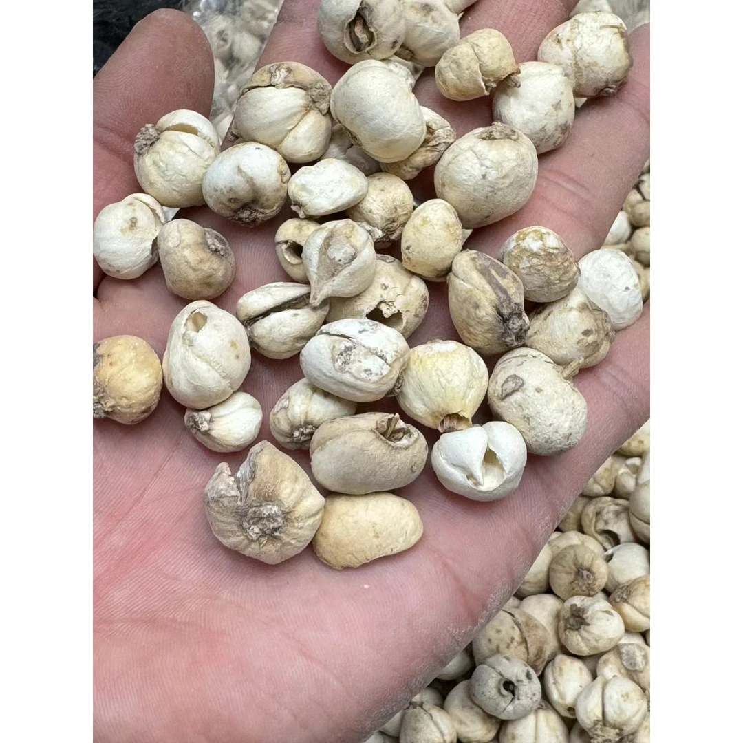【玉姐精选】高海拔臧呗母纯里予 (非百合)20g/50g