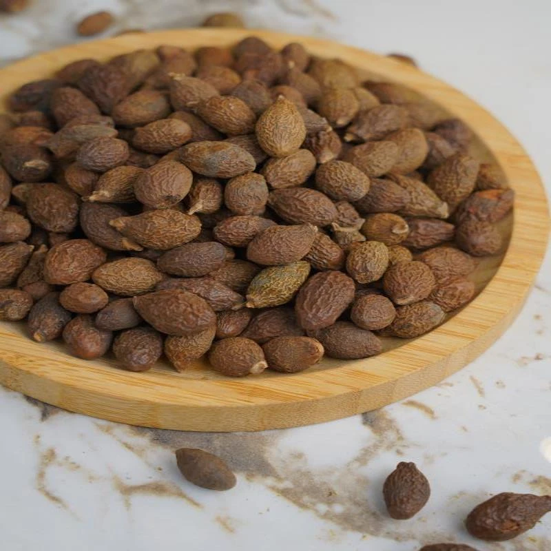 【玉姐精选】优质胖大海 可搭配罗汉果菊花 100g-500g