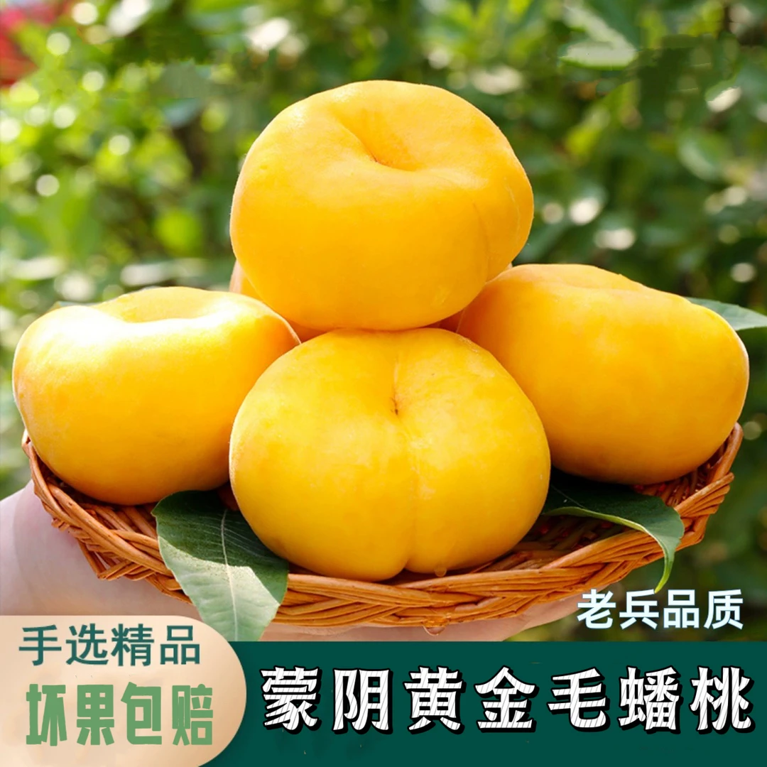 【现摘现发】正宗蒙阴黄金毛蟠桃脆软两吃新鲜水果当季热卖产地直发