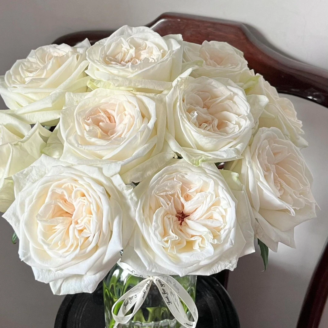 【白荔枝】单头玫瑰 自带荔枝香味  店铺任意两单（顺丰）包邮