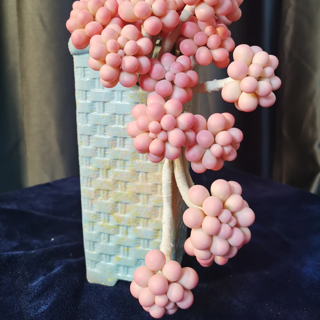 手工多肉-桃蛋多肉