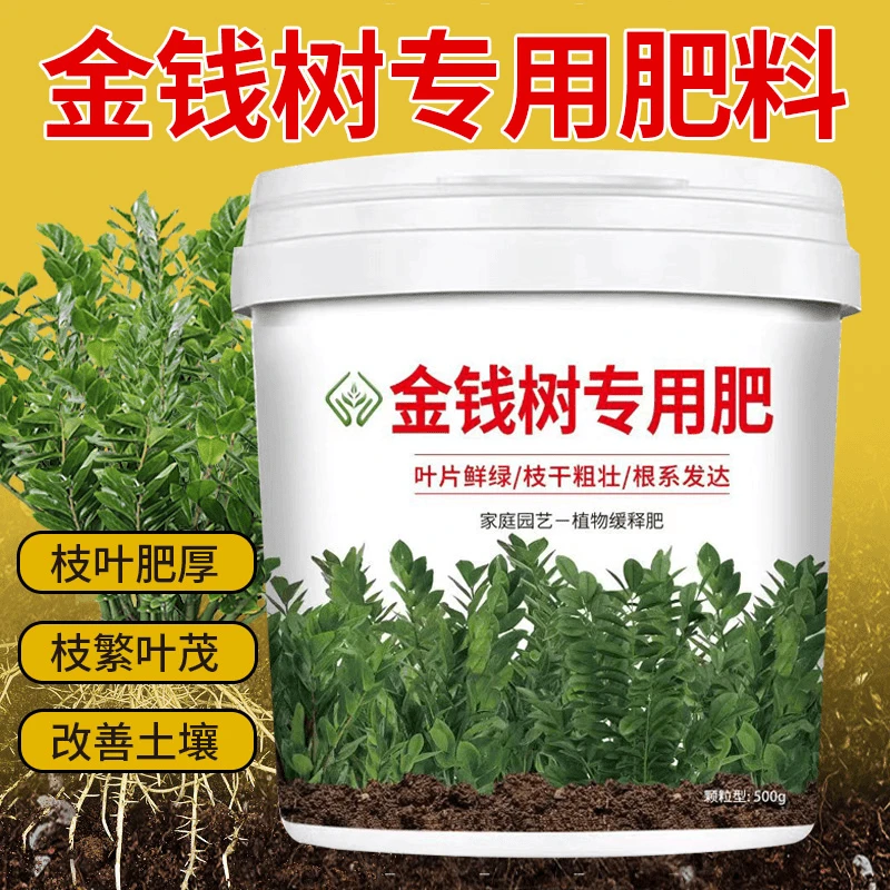 金钱树专用花肥叶面油绿厚实生根壮苗防菌虫均衡营养颗粒缓释肥