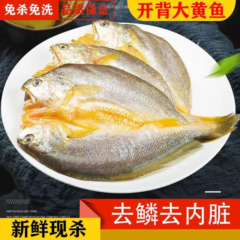 开背黄鱼鲞新鲜免洗免杀深海黄花鱼腌制醇香海鲜
