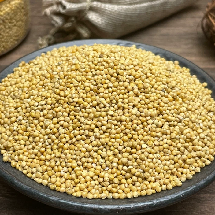 虎皮玄风鸟粮 黄谷子