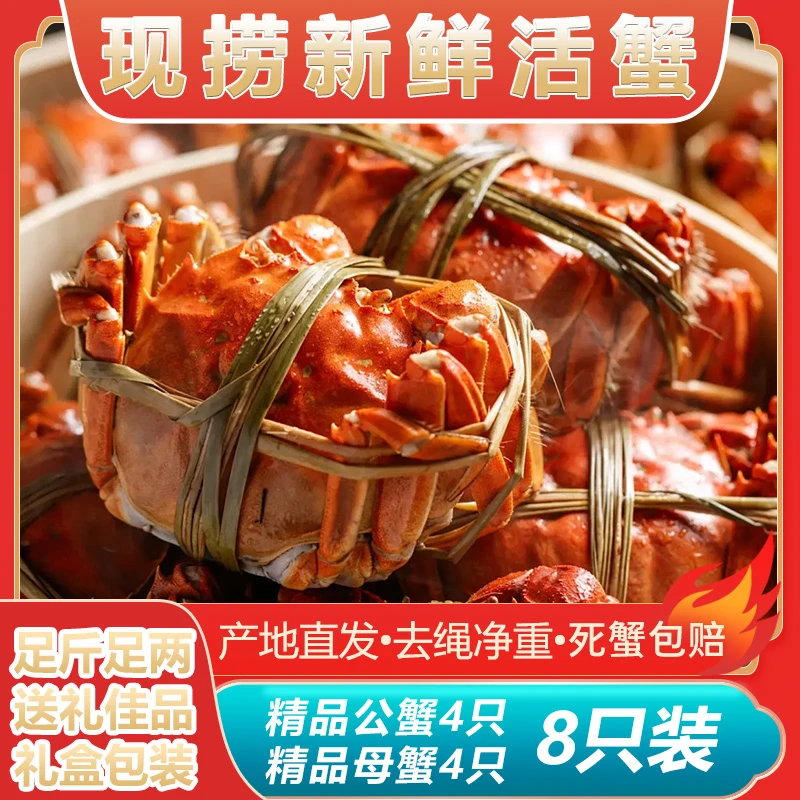 【现捞活蟹】江苏大闸蟹公5.1-4.8两 母4.1-3.8两4对8只蟹王蟹后