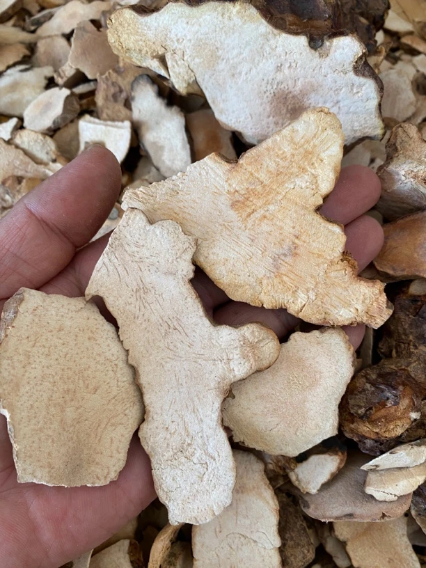 正宗野生土茯苓山货无硫