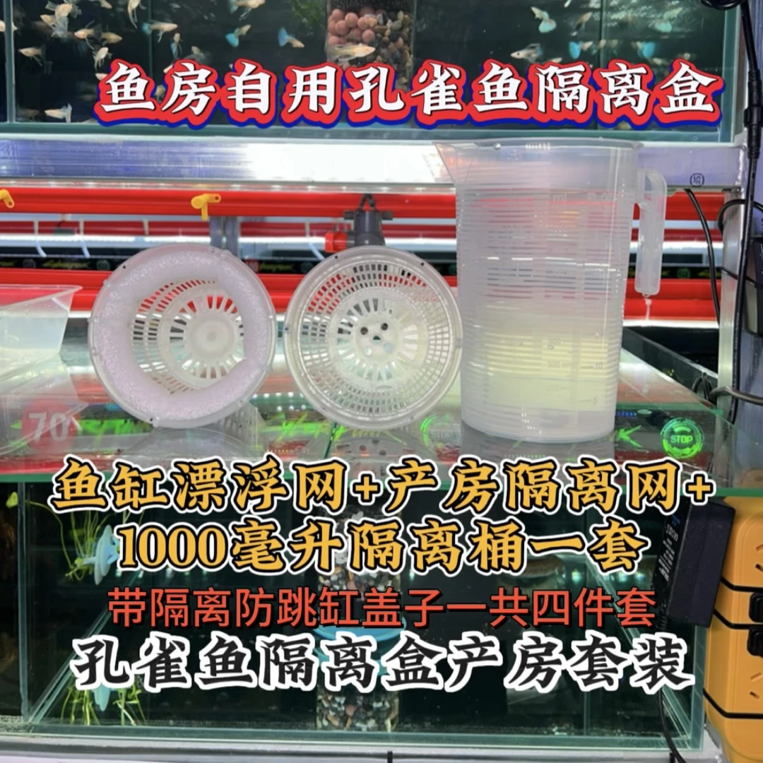 鱼缸隔离盒孔雀鱼繁殖盒凤尾斑马母鱼产房小鱼缸内胎生鱼幼鱼孵化