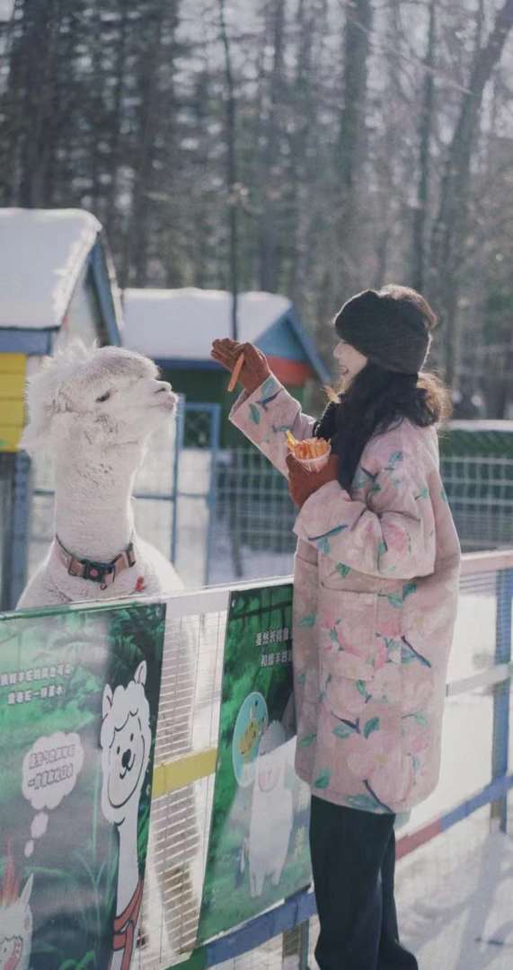 原创设计24-1784【玉颜粉画】棉复古宽松印花中式休闲棉衣