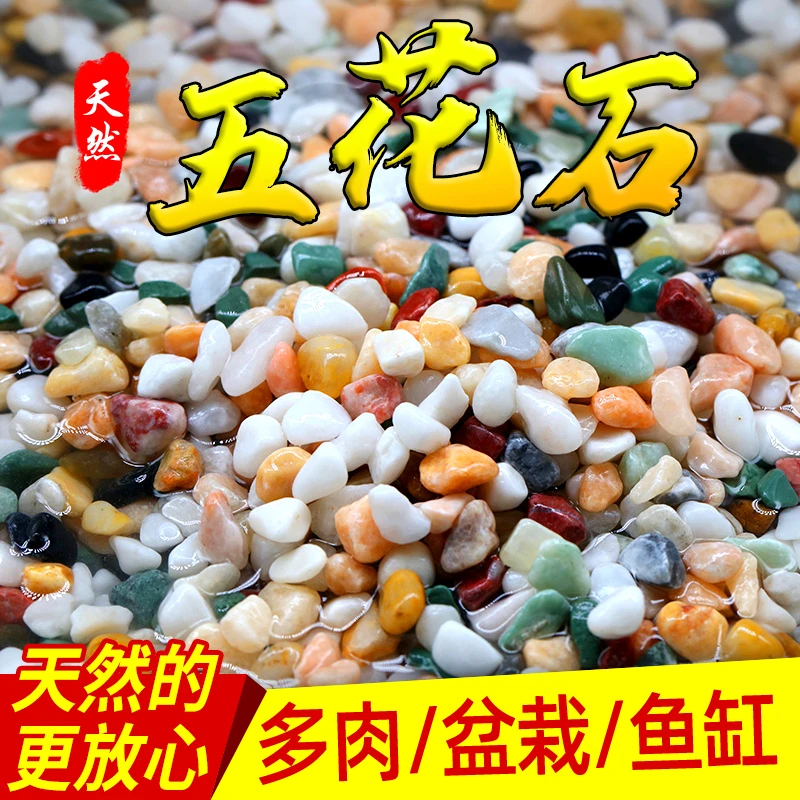 天然五彩雨花石多肉铺面盆栽水培植物铺底鱼缸底砂造景装饰石头