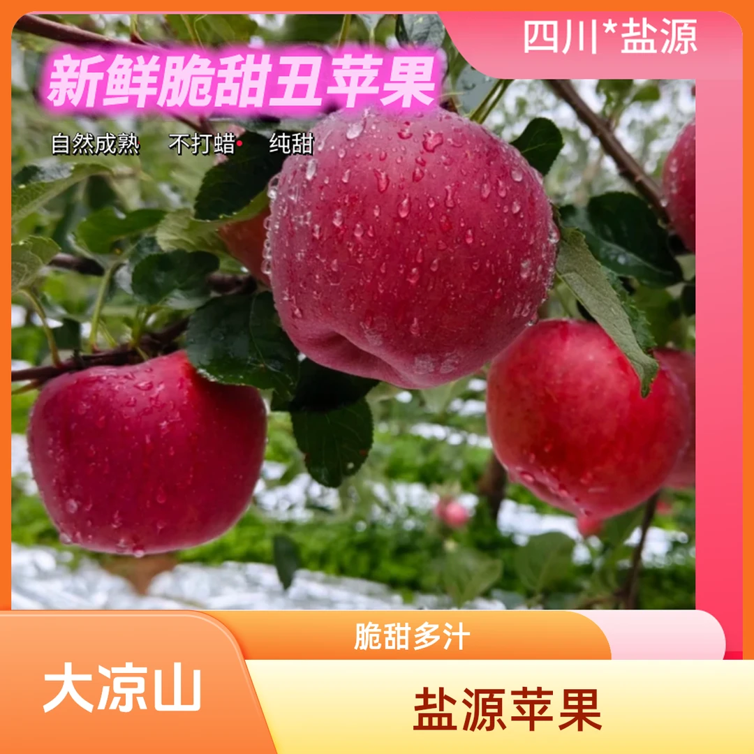 大凉山盐源丑苹果