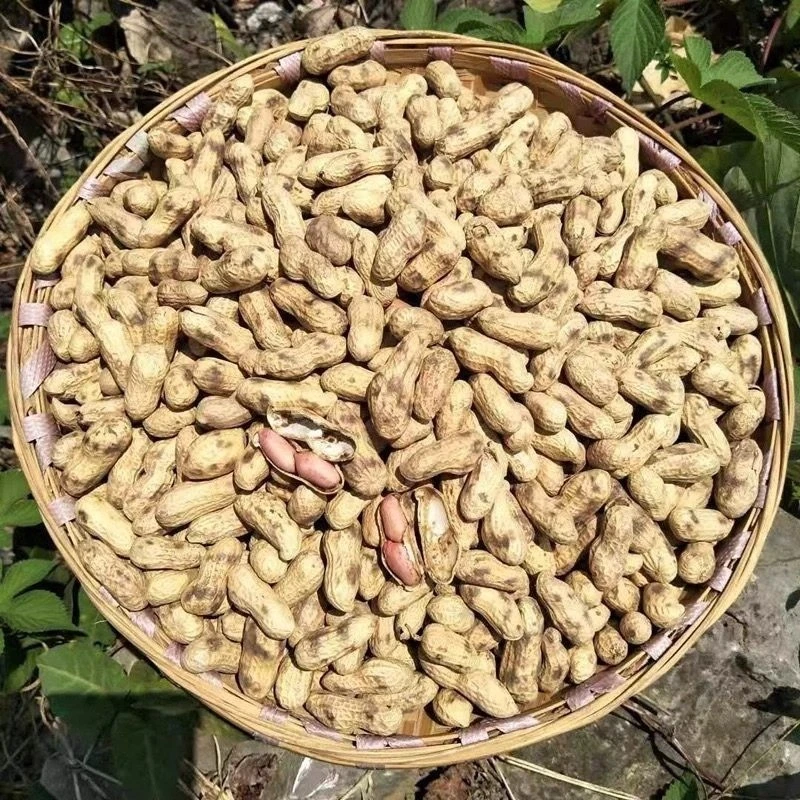 农家铁锅炒花生原味花生颗粒饱满东北小珍珠香甜酥脆营养醇香零食