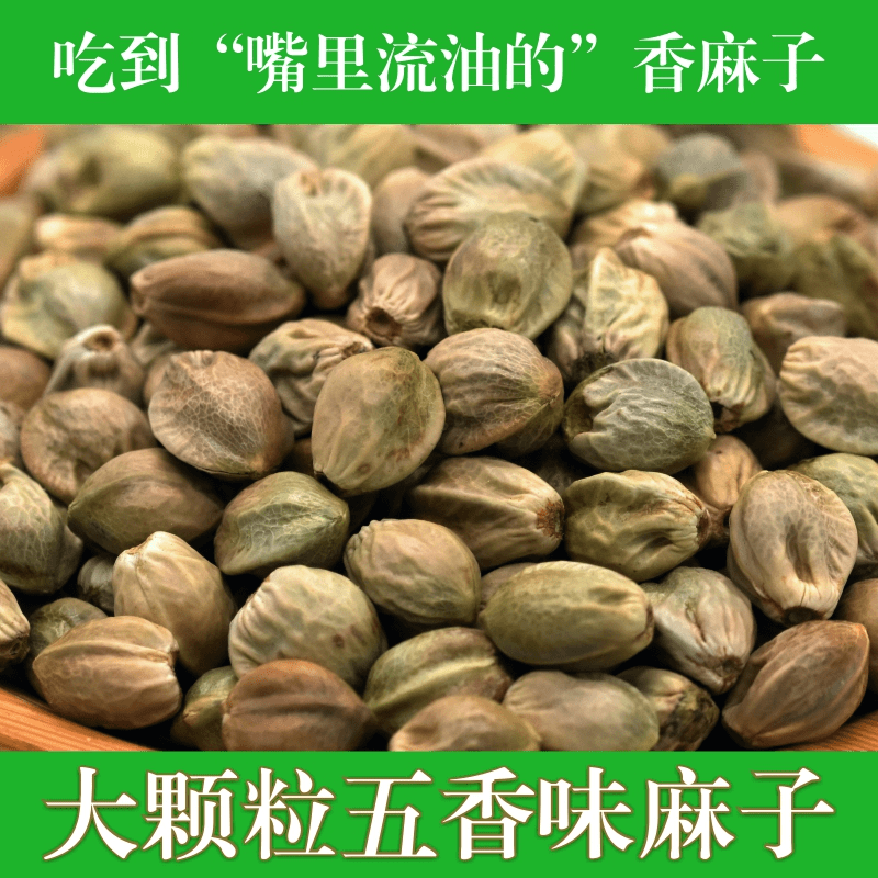甘肃特产麻子大粒大生麻子火麻子籽人吃香麻子大颗粒炒熟油食用