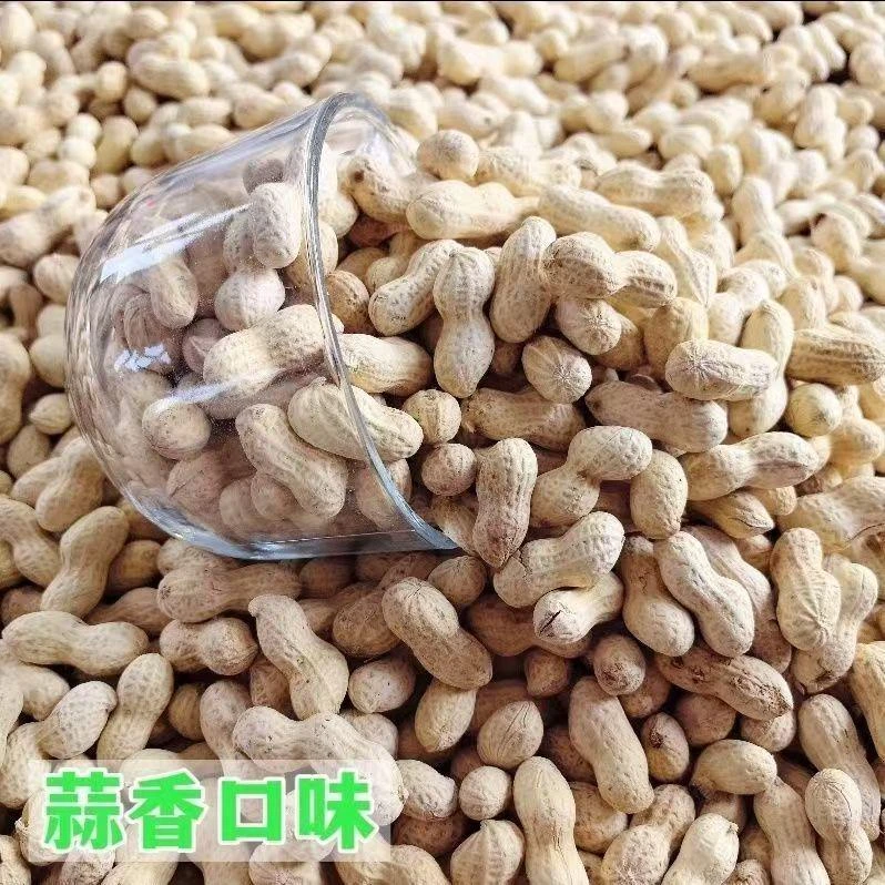 龙岩蒜香花生咸酥带壳下酒休闲办公坚果炒货零食品新货厂家直销