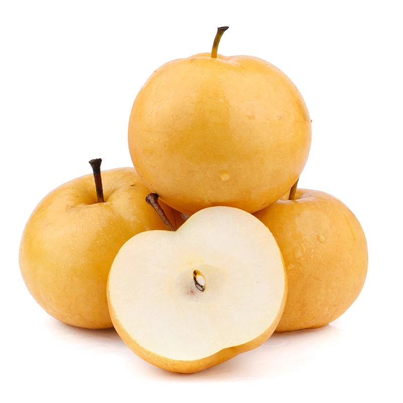 【秋月梨】山东当季新鲜梨子汁多肉厚爽口清脆4.5斤 G