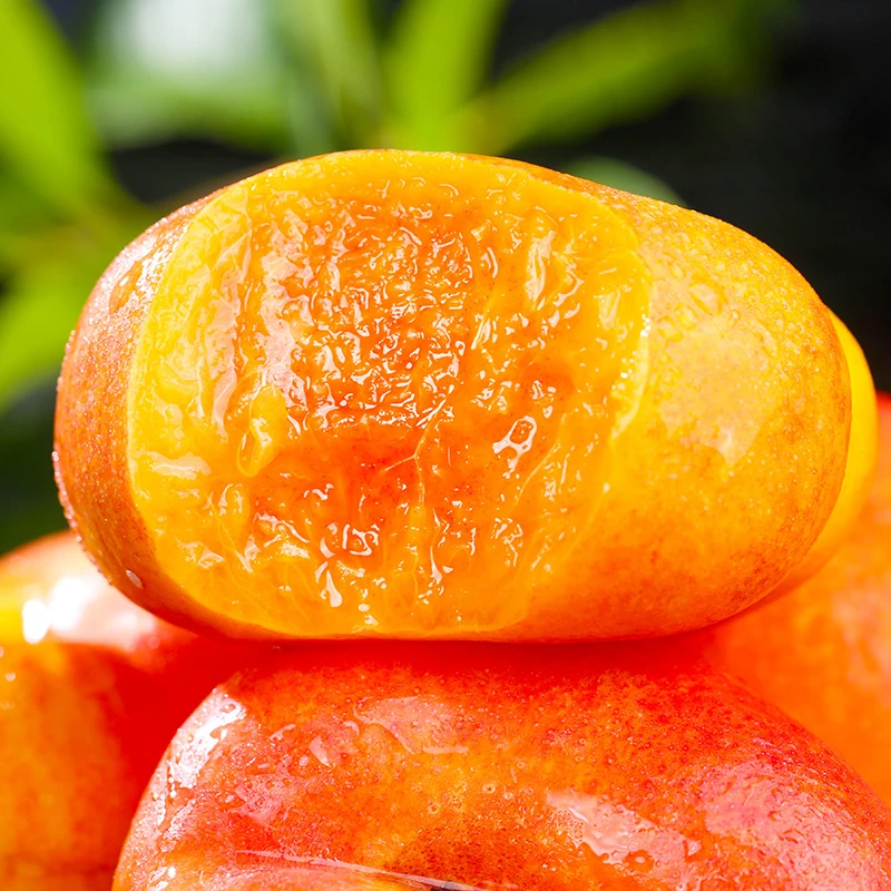 山东蒙阴黄油蟠桃蒙阴正宗产地现摘水果桃子现发坏果包赔