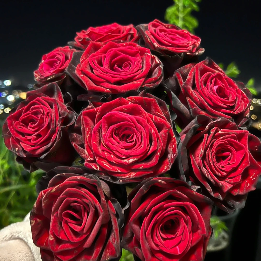 直播间一物一拍月季专属链接栽种开花种植