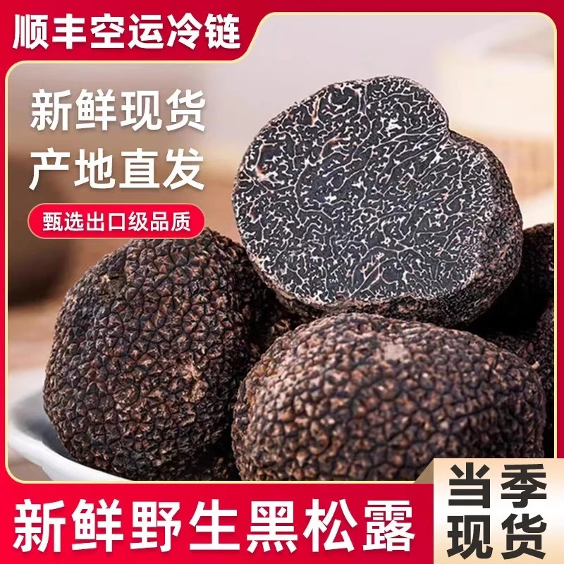 【500克起新鲜】云南高黎贡山新鲜黑松露菌菇精品山货顺丰空运包邮