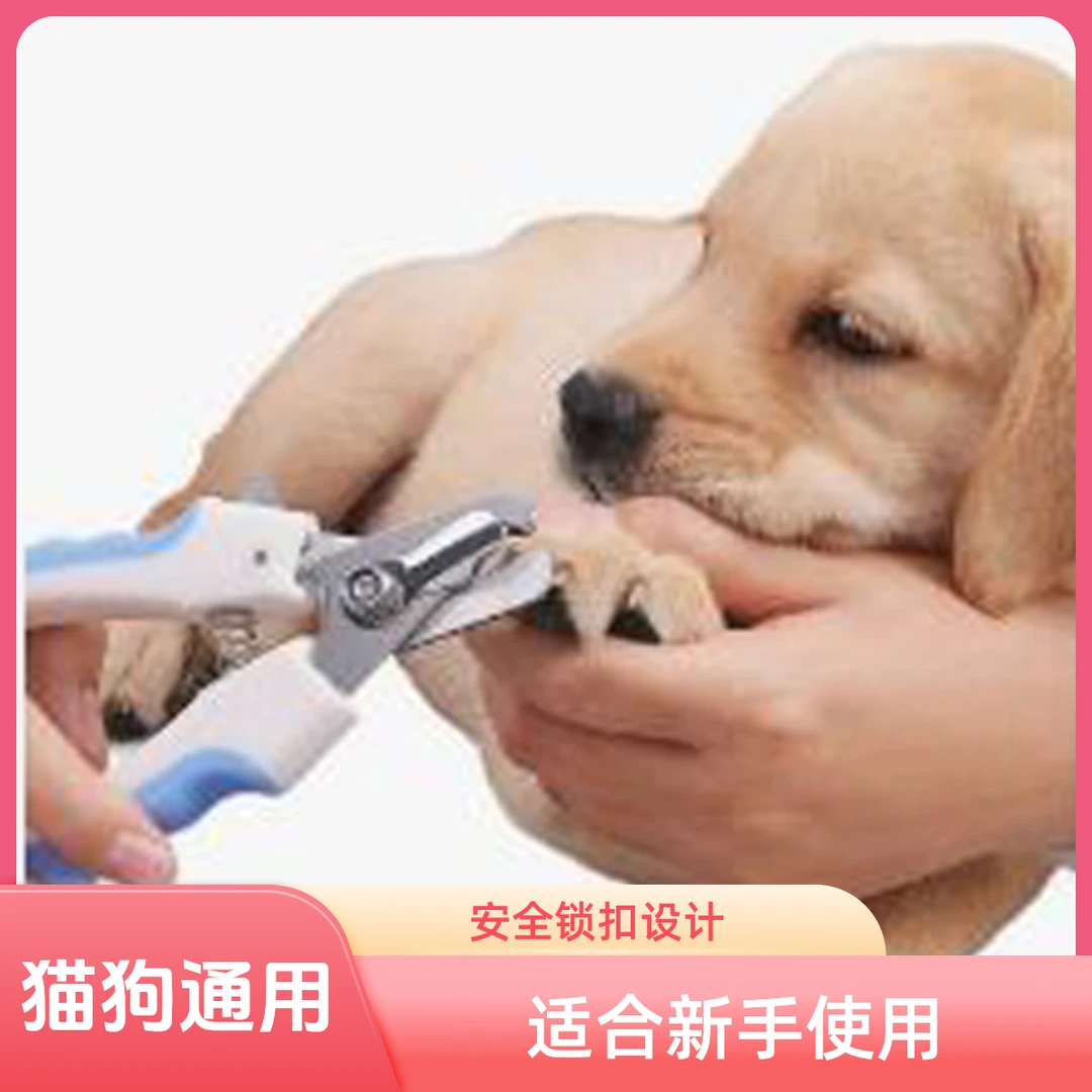 修剪直柄不锈钢宠物指甲剪自动舒适宠物指甲钳清洁宠物新手指甲剪