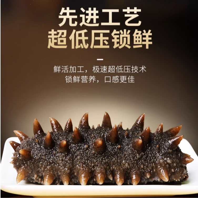 辽员外【3斤-5斤装】8-12头辽刺参正宗顺丰②号店