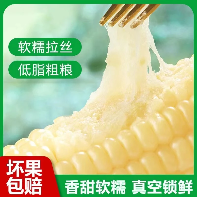 【爆款推荐】新鲜云南白糯玉米香甜软糯开袋即食免煮真空包装代餐