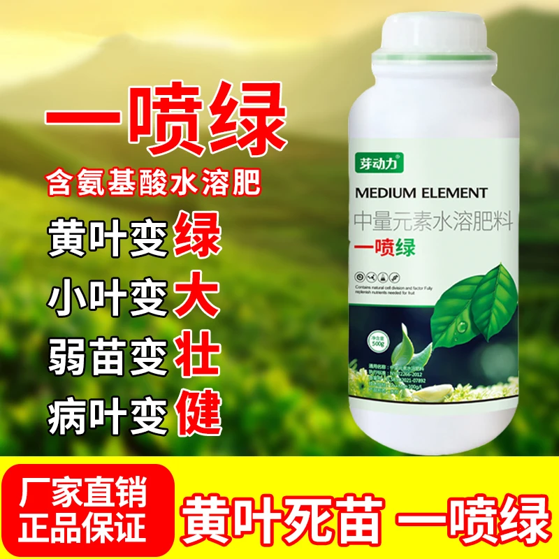 一喷绿黄叶枯死变绿含氨基酸蔬菜花卉叶绿素微量元素叶面肥喷施