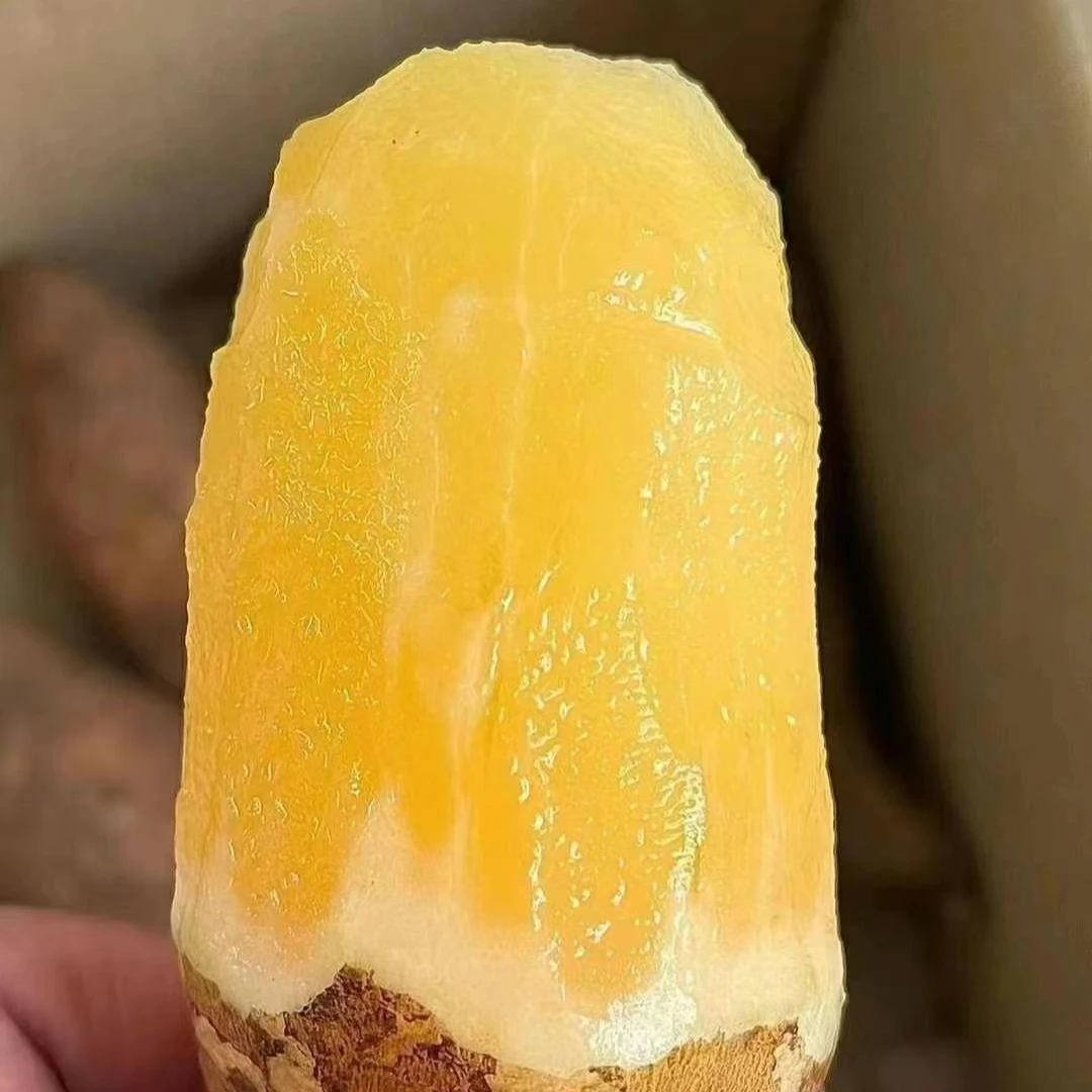 【果乐多甄选】精品天山雪莲果一箱