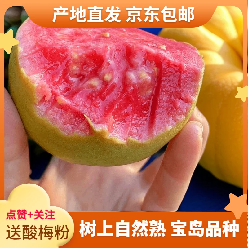{京东快递}福建红心芭乐奶油芭乐白心芭乐3斤4.5斤水果红心番石榴