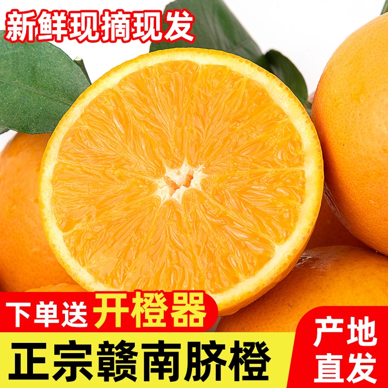江西赣南脐橙 精品果新鲜橙子寻乌县产地直发当季孕妇水果手剥橙