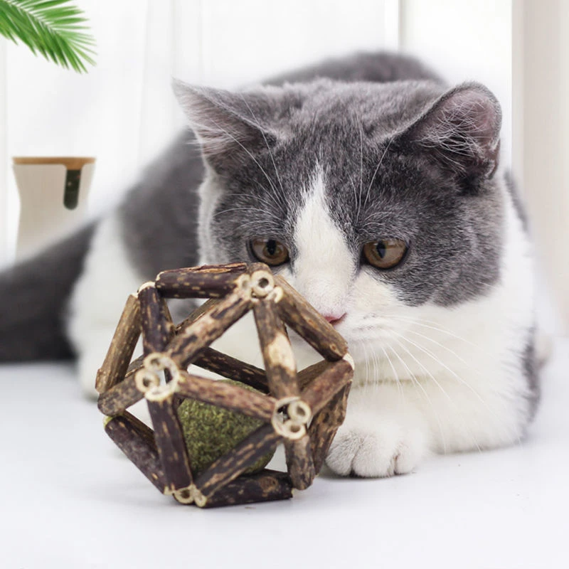 猫薄荷玲珑球木天蓼球猫咪玩具逗猫玩具球大号磨牙铃铛球优选