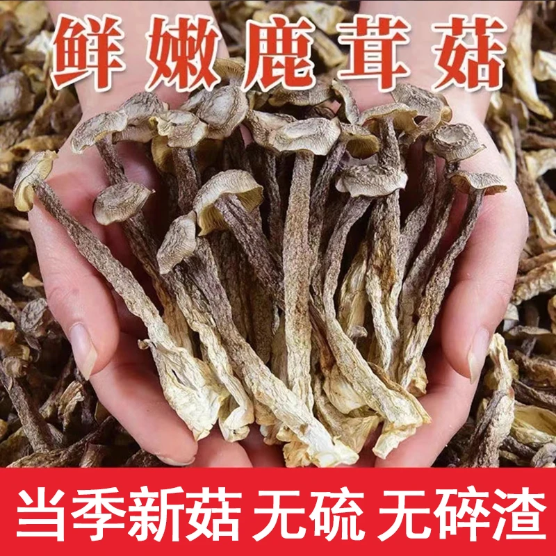 2025年新货鹿茸菇干货脆脆菇鲜嫩鹿茸菌菇香菇煲汤食材散装250g