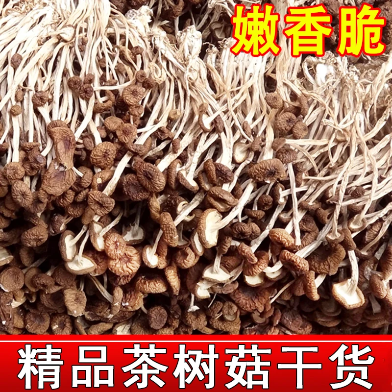 【精选】茶树菇干货农家烘干不开伞干茶树菇蘑菇煲汤散装500g