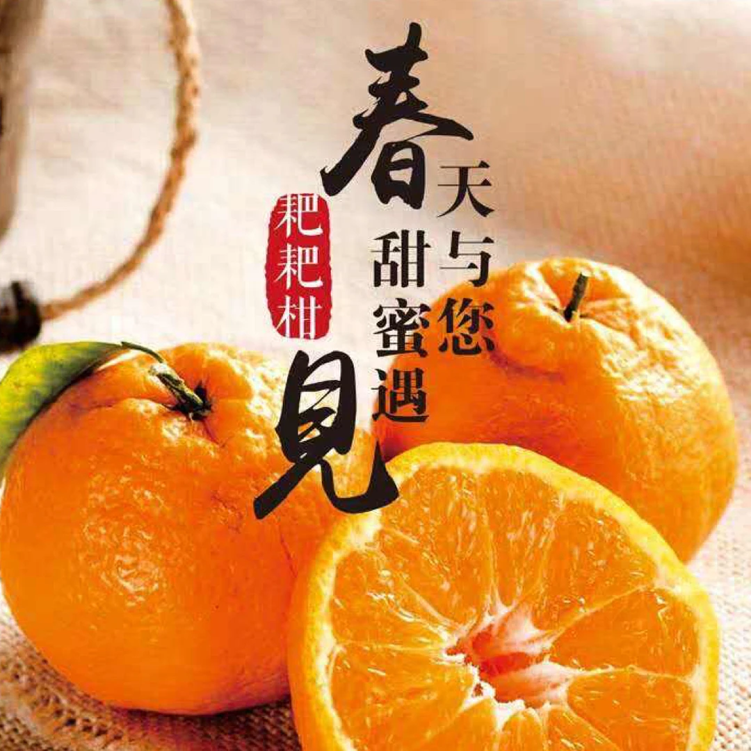 【未开价 慎拍】四川春见耙耙柑5斤