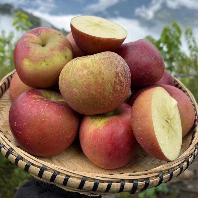 【顺丰快递 送货上门】大凉山盐源丑苹果  4.5斤/7.5斤