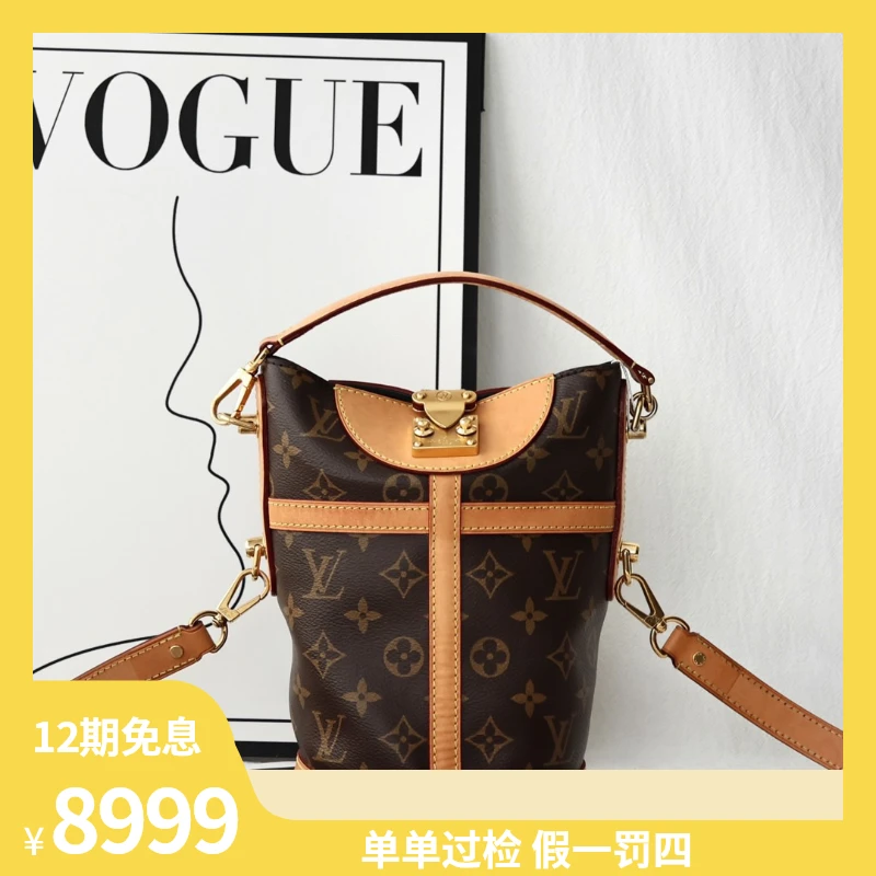95新 LouisVuitton/路易威登 fl66 lv 老花 薯条包/625010970