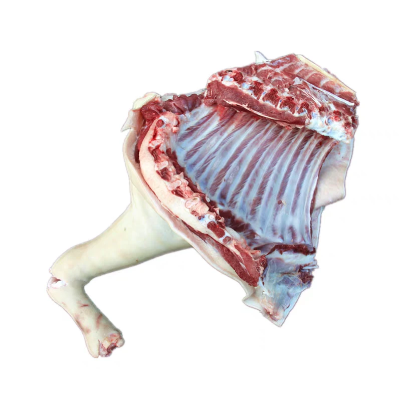 山西应县三年散养36月龄走地山羊肉