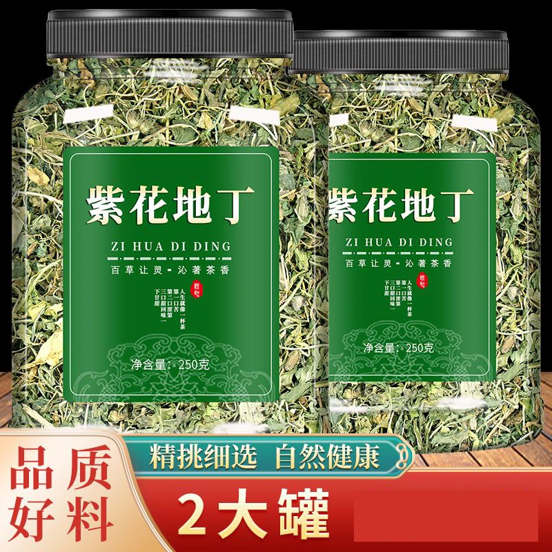 紫花地丁正品中药材犁头草新鲜干地丁草泡水紫花地丁草药