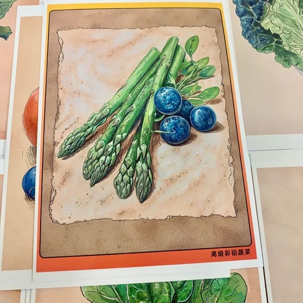 高级彩铅静物蔬菜水果花卉临摹卡儿童创意美术明信片彩铅范图