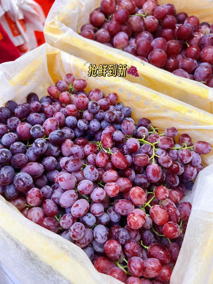 福利款 克轮生无籽脆甜/红提少籽 鲜甜 带框4斤